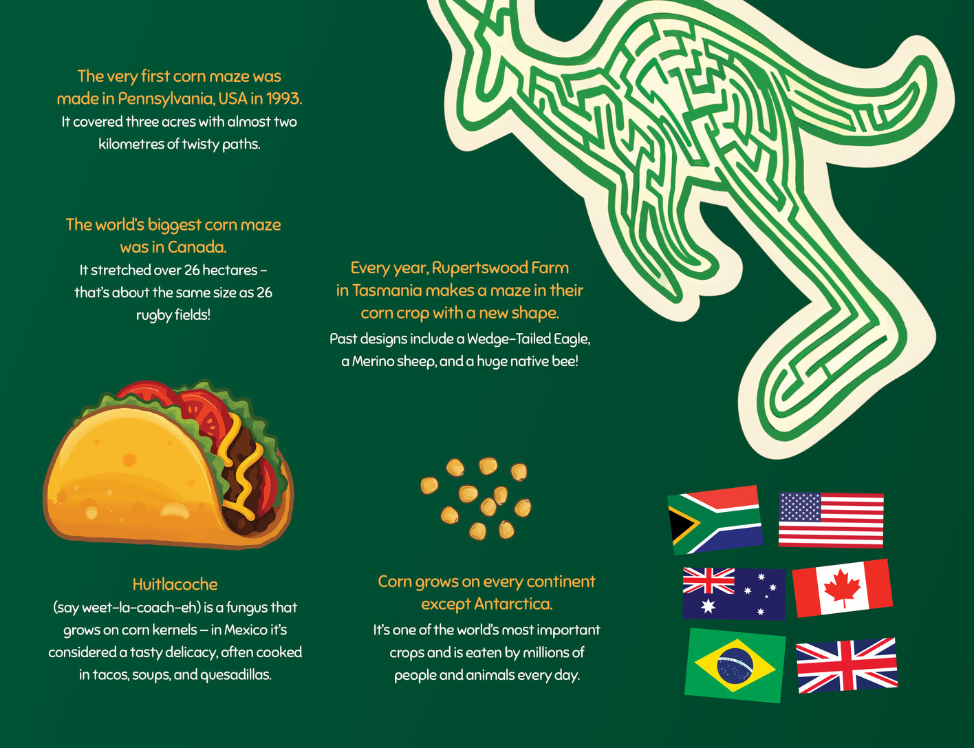 George the Farmer Kangaroo Cornfield